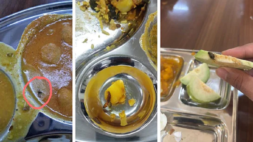 ਮੈੱਸ ’ਚ ਪਰੋਸੇ ਜਾਣ ਵਾਲੇ ਖਾਣੇ ''ਚ ਮਿਲੇ ਕੀੜੇ-ਮਕੌੜੇ, ਵਾਇਰਲ ਤਸਵੀਰਾਂ ਦੇਖ ਆਉਣਗੀਆਂ ਕਚੀਚੀਆਂ