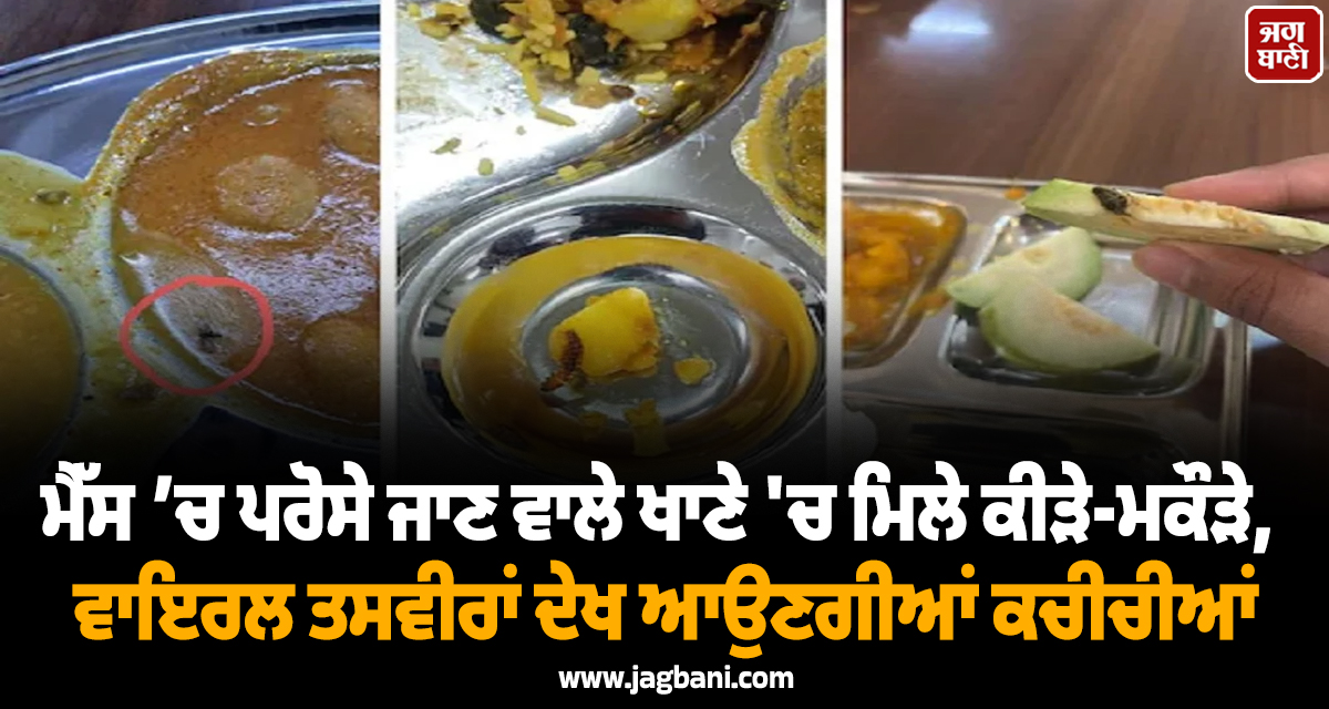 ਮੈੱਸ ’ਚ ਪਰੋਸੇ ਜਾਣ ਵਾਲੇ ਖਾਣੇ 'ਚ ਮਿਲੇ ਕੀੜੇ-ਮਕੌੜੇ, ਵਾਇਰਲ ਤਸਵੀਰਾਂ ਦੇਖ ਆਉਣਗੀਆਂ ਕਚੀਚੀਆਂ