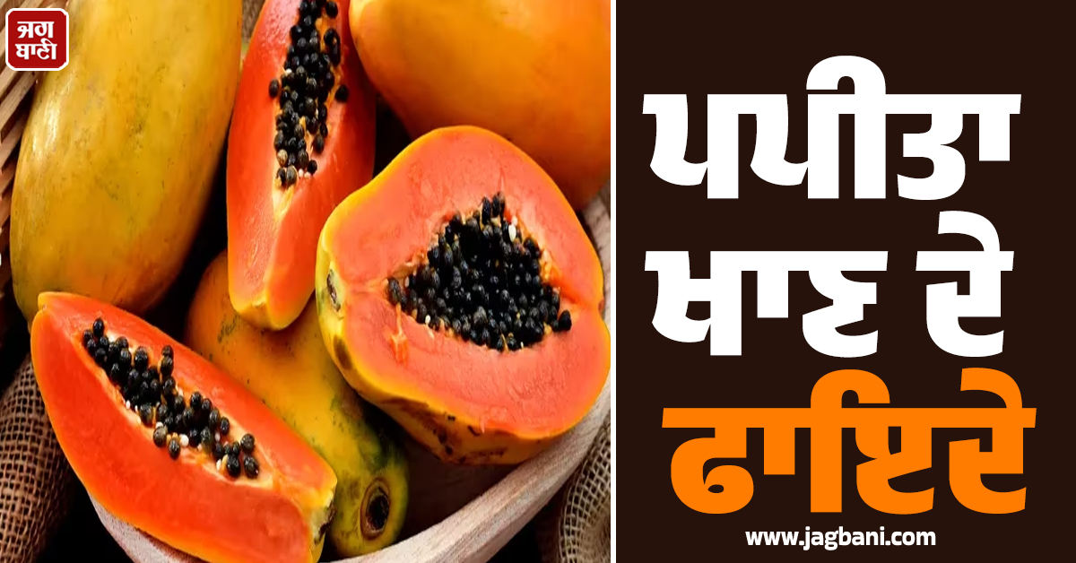 ਸਿਹਤ ਦਾ ਖ਼ਜ਼ਾਨਾ ਹੈ ''ਪਪੀਤਾ'' : ਰੋਜ਼ਾਨਾ ਖਾਣ ਨਾਲ ਮਿਲਣਗੇ ਇਹ 5 ਹੈਰਾਨੀਜਨਕ ਫਾਇਦੇ, ਕਈ ਬਿਮਾਰੀਆਂ ਰਹਿਣਗੀਆਂ ਦੂਰ