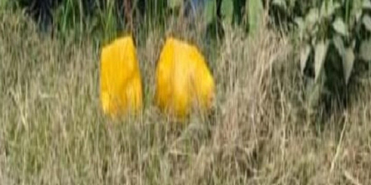 ਬੀ. ਐੱਸ. ਐੱਫ. ਤੇ ਪੁਲਸ ਦਾ ਸਾਂਝਾ ਆਪ੍ਰੇਸ਼ਨ, 10 ਕਰੋੜ ਦੀ ਹੈਰੋਇਨ ਸਮੇਤ ਸਮੱਗਲਰ ਕਾਬੂ