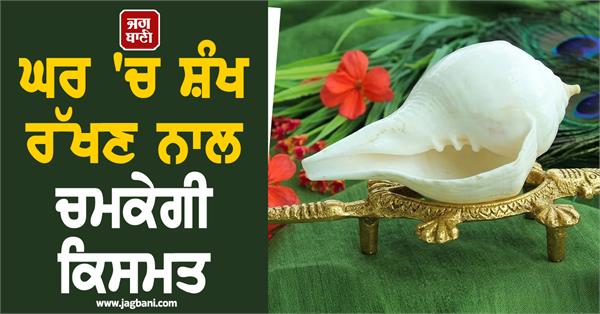 keeping a conch shell at home will bring good luck 