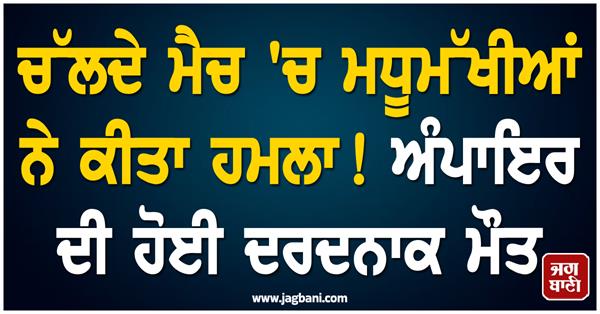 cricket match  bee attack  umpire died  player injured