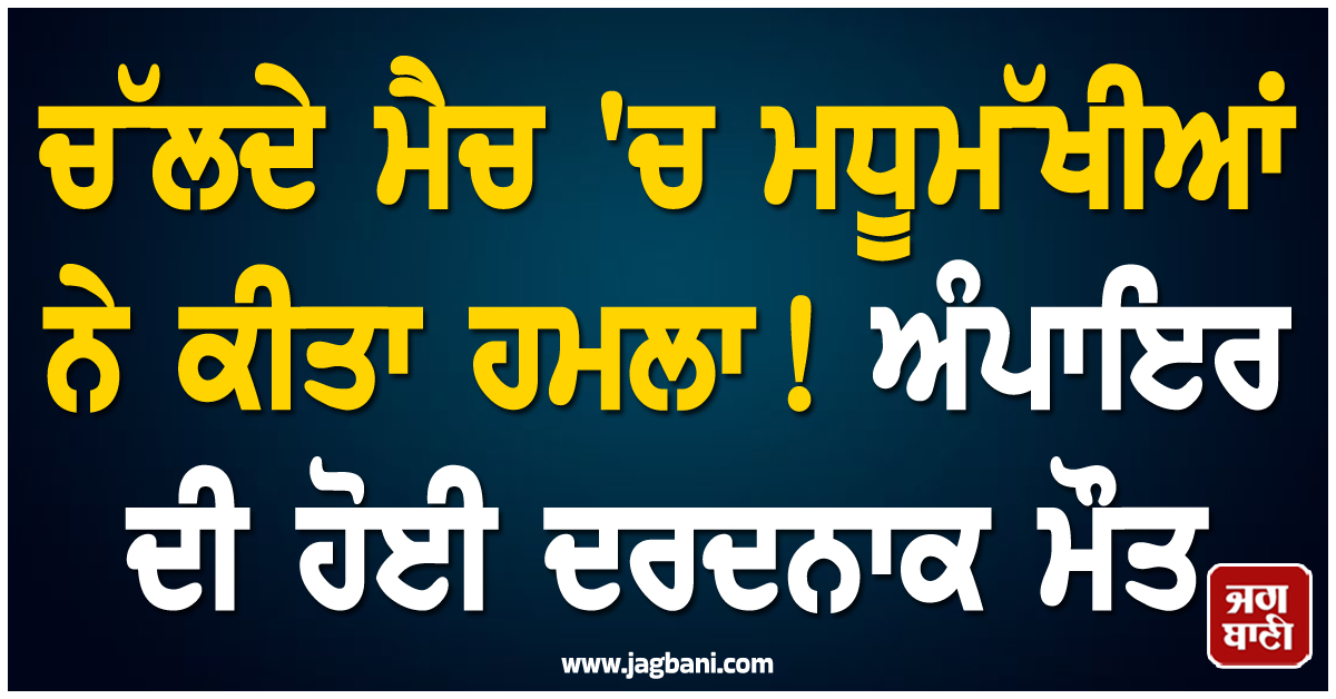 ਚੱਲਦੇ ਮੈਚ ''ਚ ਮਧੂਮੱਖੀਆਂ ਨੇ ਕੀਤਾ ਹਮਲਾ ! ਅੰਪਾਇਰ ਦੀ ਹੋਈ ਦਰਦਨਾਕ ਮੌਤ, ਕਈ ਖਿਡਾਰੀ ਜ਼ਖ਼ਮੀ