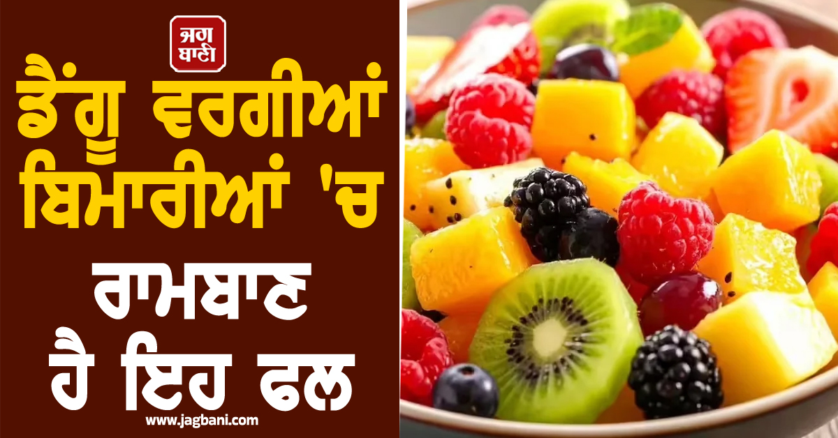 ਡੈਂਗੂ ਵਰਗੀਆਂ ਬਿਮਾਰੀਆਂ 'ਚ ਰਾਮਬਾਣ ਹੈ ਇਹ ਫਲ, ਖ਼ੂਨ ਦੇ ਸੈੱਲ ਵਧਾਉਣ ਦੇ ਨਾਲ-ਨਾਲ ਦਿਲ ਨੂੰ ਵੀ ਰੱਖੇ ਫਿੱਟ