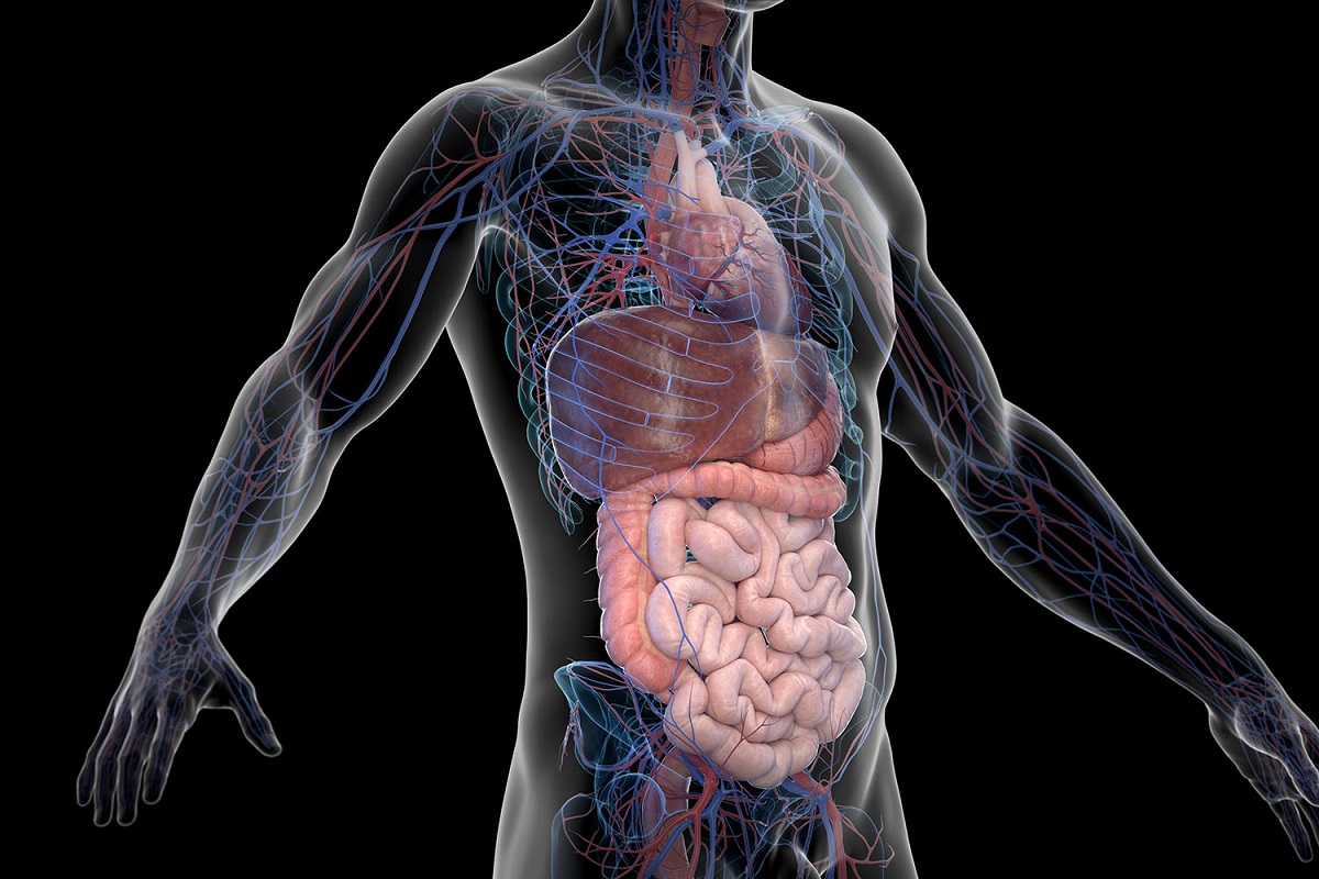 ਸਰੀਰ ''ਚ ''ਵਿਟਾਮਿਨ ਡੀ'' ਦੀ ਕਮੀ ਹੋ ਸਕਦੀ ਹੈ ਖ਼ਤਰਨਾਕ : ਜਾਣੋ ਲੱਛਣ ਅਤੇ ਬਚਾਅ ਦੇ ਅਚੂਕ ਤਰੀਕੇ**