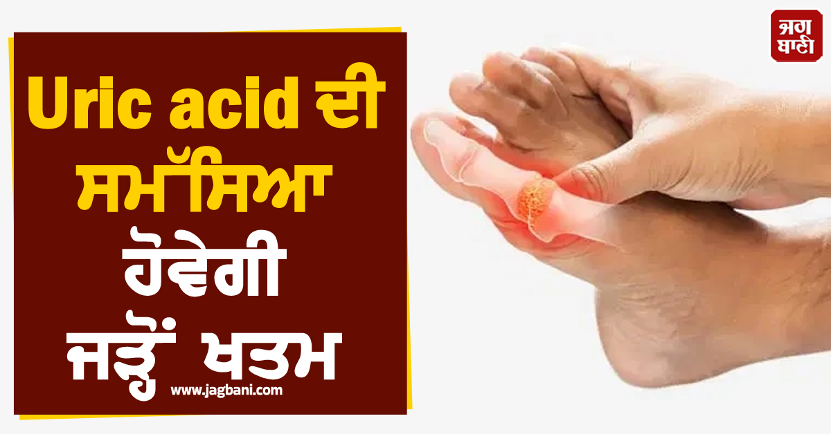 Uric acid ਦੀ ਸਮੱਸਿਆ ਹੋਵੇਗੀ ਜੜ੍ਹੋਂ ਖਤਮ, ਬਸ ਆਪਣੀ ਡਾਈਟ 'ਚ ਕਰੋ ਇਹ ਛੋਟੇ ਬਦਲਾਅ