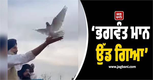 bikram majithia in rubicon