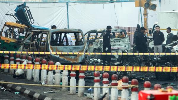 white collar network