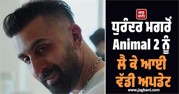 sandeep reddy vanga on animal park 