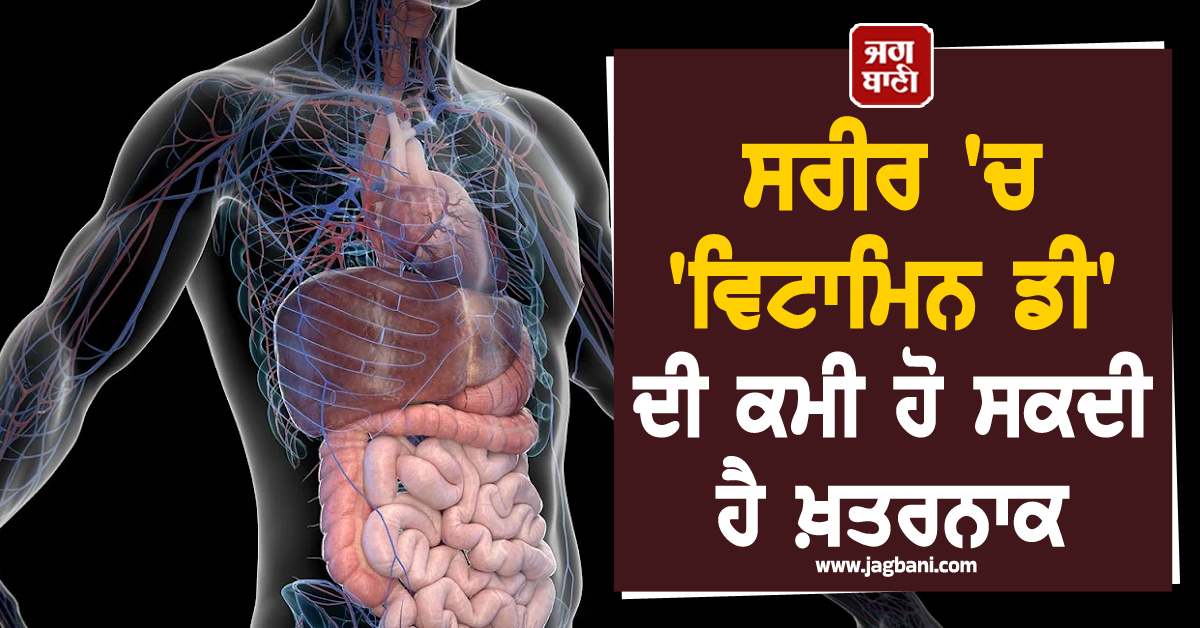 ਸਰੀਰ 'ਚ 'ਵਿਟਾਮਿਨ ਡੀ' ਦੀ ਕਮੀ ਹੋ ਸਕਦੀ ਹੈ ਖ਼ਤਰਨਾਕ : ਜਾਣੋ ਲੱਛਣ ਅਤੇ ਬਚਾਅ ਦੇ ਤਰੀਕੇ