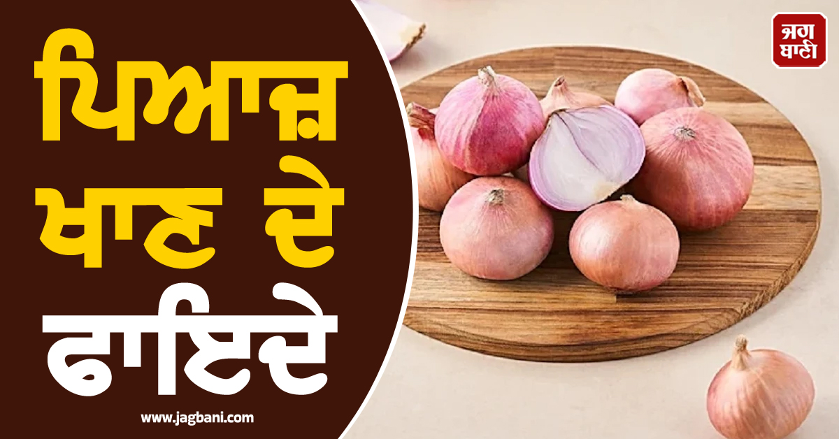 ਸਿਰਫ਼ ਸਬਜ਼ੀ ਨਹੀਂ, ਸਗੋਂ 'ਕੁਦਰਤੀ ਦਵਾਈ' ਹੈ ਪਿਆਜ਼! ਜਾਣੋ ਇਸ ਦੇ ਅਣਸੁਣੇ ਫਾਇਦੇ