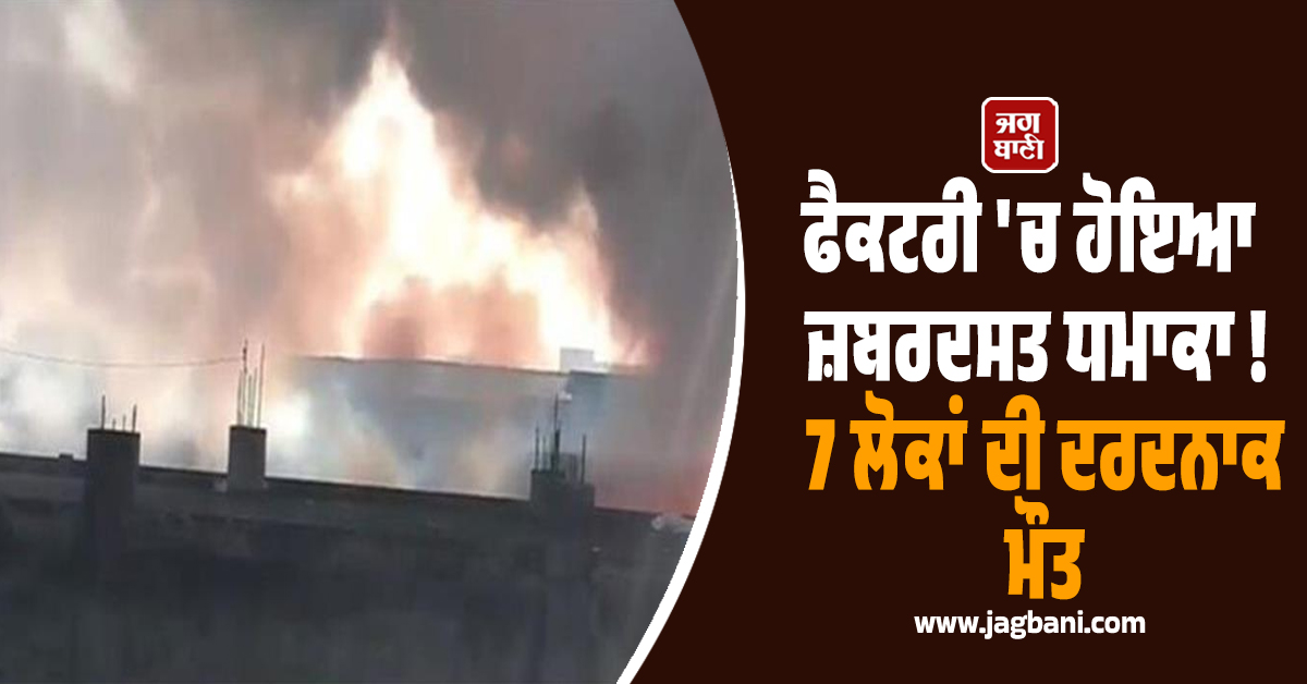 ਫੈਕਟਰੀ ''ਚ ਹੋਇਆ ਜ਼ਬਰਦਸਤ ਧਮਾਕਾ ! 7 ਮਜ਼ਦੂਰਾਂ ਦੀ ਦਰਦਨਾਕ ਮੌਤ, ਅੰਦਰੋਂ ਮਿਲੇ ਸਿਰਫ਼ ਪਿੰਜਰ