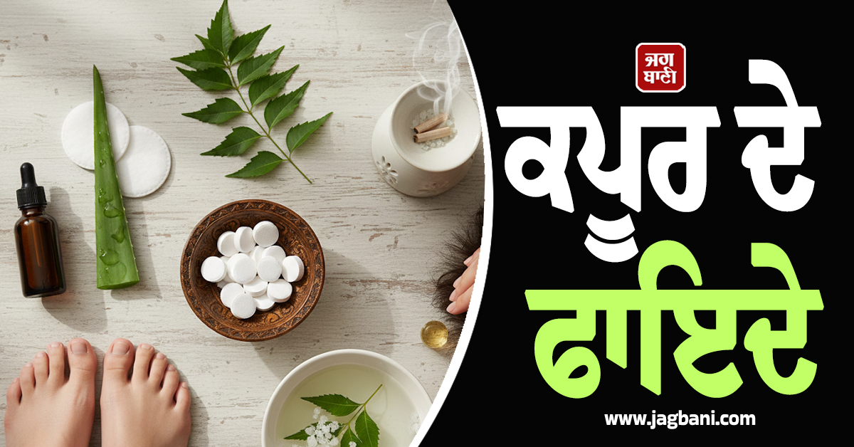 ਬਦਲਦੇ ਮੌਸਮ ''ਚ ਇਨਫੈਕਸ਼ਨ ਦਾ ਕਾਲ ਹੈ ''ਕਪੂਰ'', ਫੱਟੀਆਂ ਅੱਡੀਆਂ ਤੋਂ ਲੈ ਕੇ ਜ਼ੁਕਾਮ ਤੱਕ ਇੰਝ ਪਾਓ ਛੁਟਕਾਰਾ