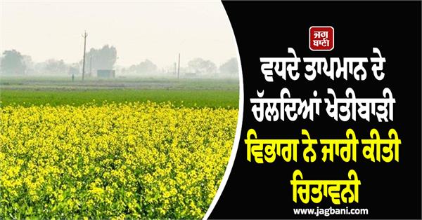 rising temperatures may be harmful to wheat crop