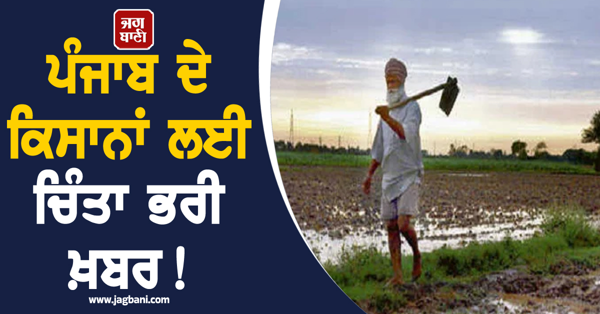 ਪੰਜਾਬ ਦੇ ਕਿਸਾਨਾਂ ਲਈ ਚਿੰਤਾ ਭਰੀ ਖ਼ਬਰ! ਰਾਸ਼ਟਰੀ ਔਸਤ ਨਾਲੋਂ ਕਈ ਗੁਣਾ ਵੱਧ ਹੈ 'ਅੰਨਦਾਤਾ' ਸਿਰ ਕਰਜ਼ਾ