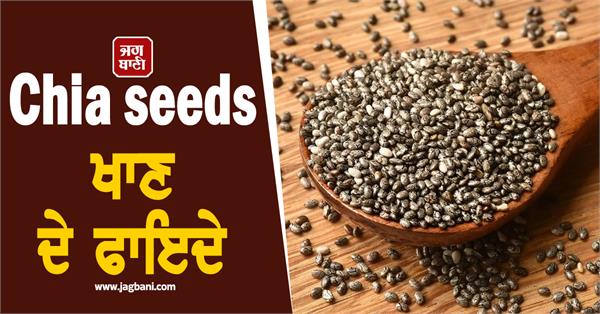 benefits of chia seeds