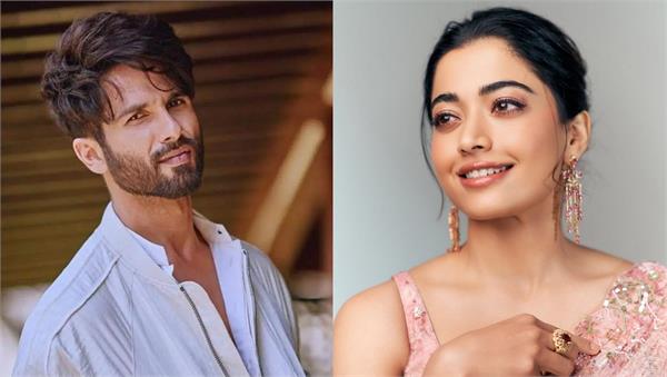 shahid kapoor and rashmika mandanna to star in a romantic comedy film 