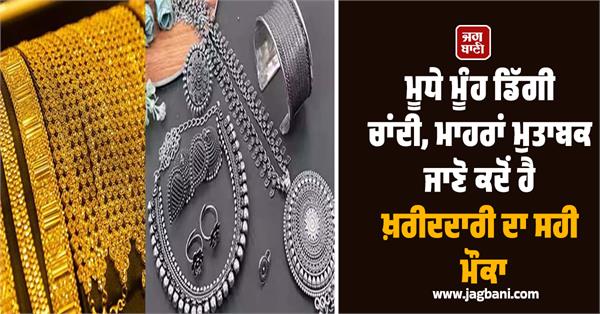 gold and silver prices have fallen sharply  experts suggestion