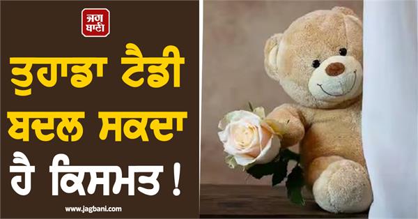 your teddy can change your destiny 