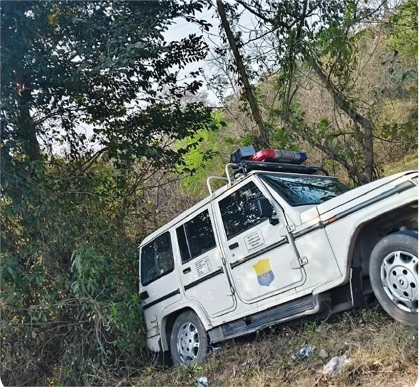 accident tree police vehicle