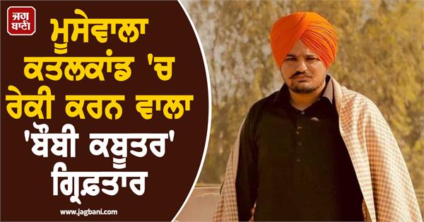 delhi police  gangster  bobby kabutar  arrested