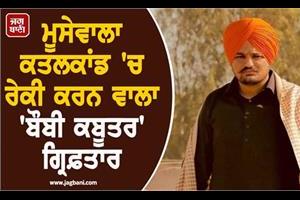 delhi police gangster bobby kabutar arrested