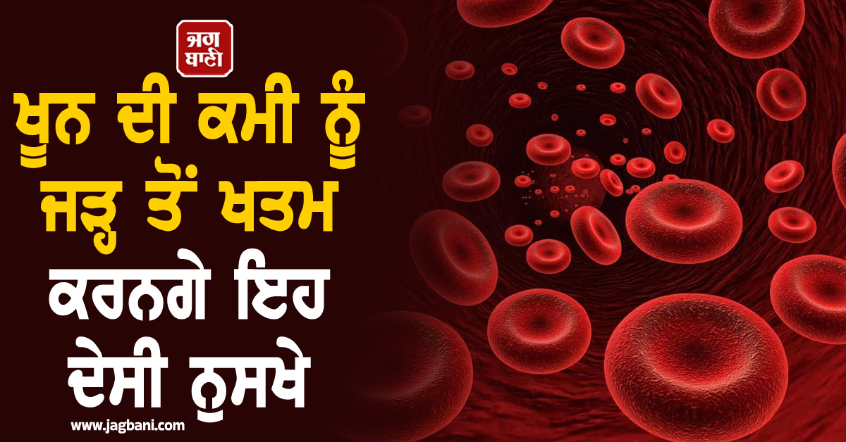 ਖੂਨ ਦੀ ਕਮੀ ਨੂੰ ਜੜ੍ਹ ਤੋਂ ਖਤਮ ਕਰਨਗੇ ਇਹ ਦੇਸੀ ਨੁਸਖੇ; ਕੁਝ ਹੀ ਦਿਨਾਂ 'ਚ ਮਿਲੇਗਾ ਫਰਕ