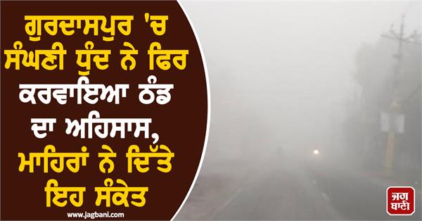 dense fog in gurdaspur again makes you feel cold
