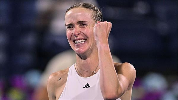 dubai tennis championships  svitolina defeats coco gauff to reach final