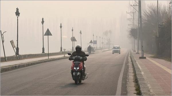 cold wave continues in haryana and punjab 
