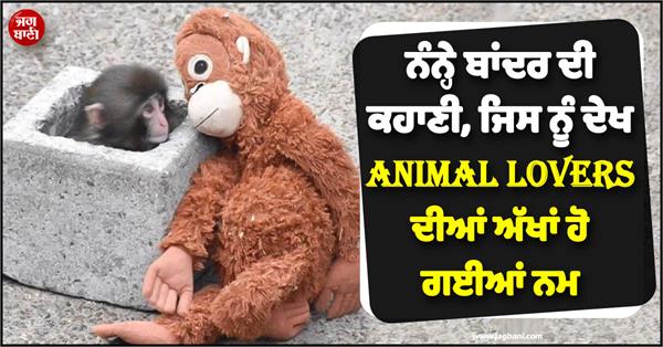 little monkey punch video story