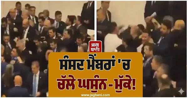 turkish mps in parliament punches in cabinet video