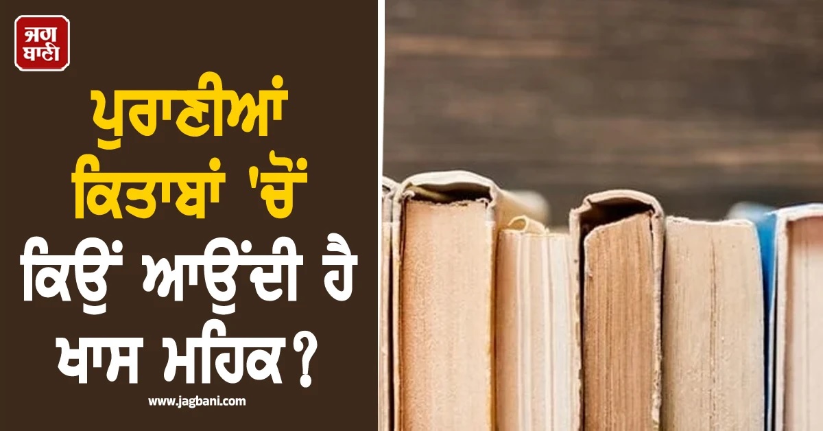 ਪੁਰਾਣੀਆਂ ਕਿਤਾਬਾਂ 'ਚੋਂ ਕਿਉਂ ਆਉਂਦੀ ਹੈ ਖਾਸ ਮਹਿਕ? ਦਿਲਚਸਪ ਹੈ ਕਾਰਨ