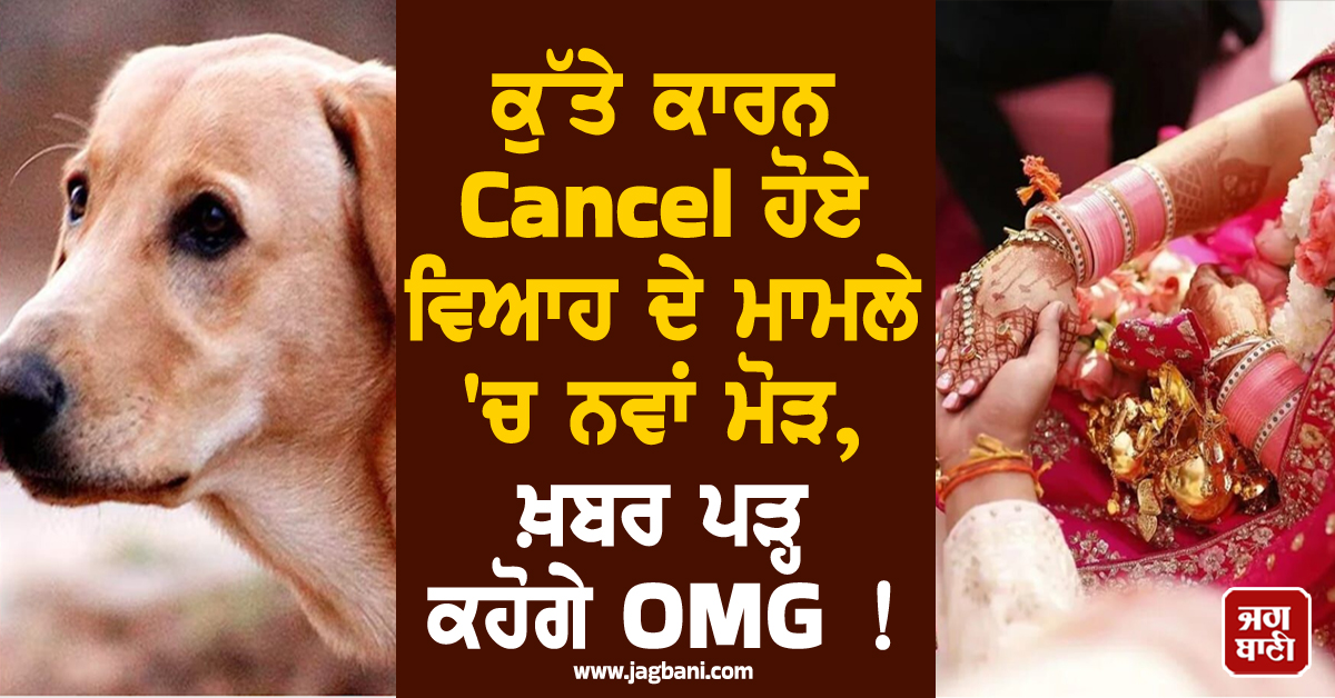 ਕੁੱਤੇ ਕਾਰਨ Cancel ਹੋਏ ਵਿਆਹ ਦੇ ਮਾਮਲੇ ''ਚ ਨਵਾਂ ਮੋੜ, ਖ਼ਬਰ ਪੜ੍ਹ ਕਹੋਗੇ OMG !