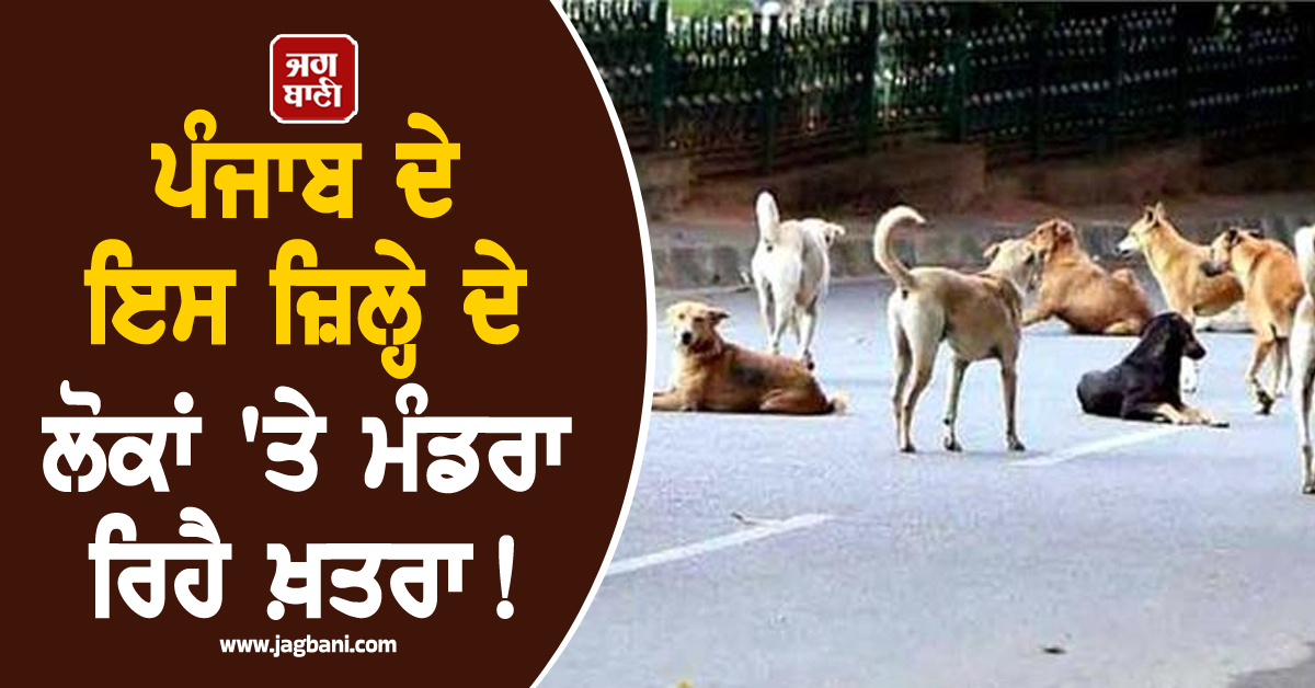 ਪੰਜਾਬ ਦੇ ਇਸ ਜ਼ਿਲ੍ਹੇ ਦੇ ਲੋਕਾਂ 'ਤੇ ਮੰਡਰਾ ਰਿਹੈ ਖ਼ਤਰਾ! ਦੋ ਮਹੀਨਿਆਂ 'ਚ ਸਾਹਮਣੇ ਆਏ 530 ਤੋਂ ਵੱਧ ਮਾਮਲੇ