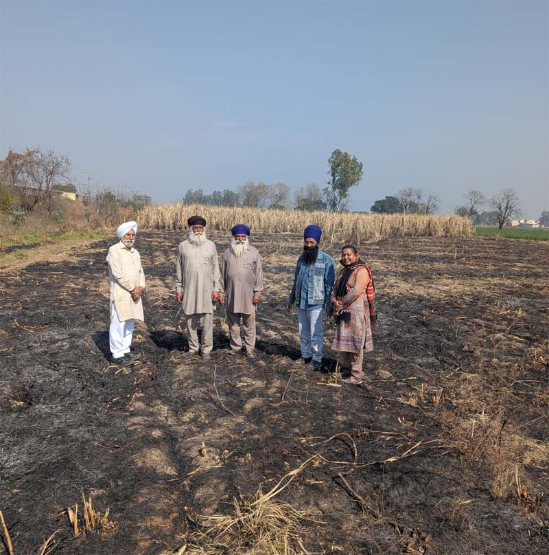 ਅਣਪਛਾਤੇ ਵਿਅਕਤੀਆਂ ਵੱਲੋਂ ਕਮਾਦ ਦੀ ਖੜ੍ਹੀ ਫ਼ਸਲ ਨੂੰ ਲਾਈ ਅੱਗ