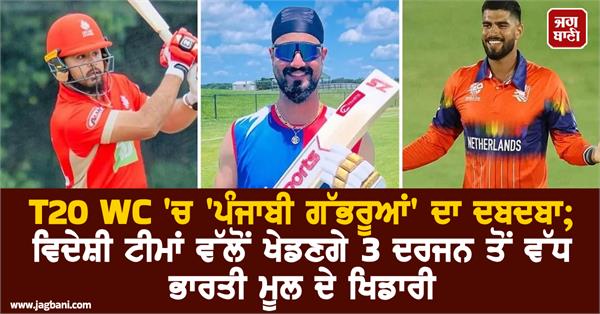 punjabi boys dominate in t20 wc
