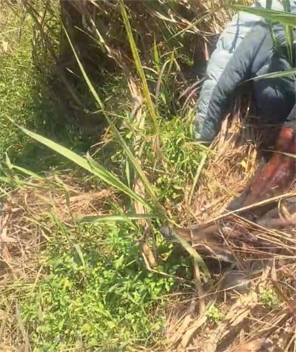 police found man deadbody in tanda