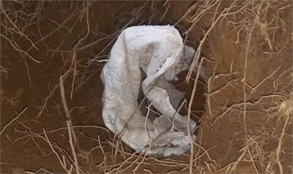 suspected explosive device found bds deployed