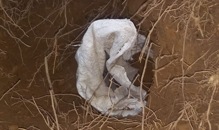 ਜੰਮੂ-ਕਸ਼ਮੀਰ : ਸ਼ੱਕੀ IED ਮਿਲਣ ਨਾਲ ਹੜਕੰਪ, ਸੁਰੱਖਿਆ ਬਲਾਂ ਨੇ ਇਲਾਕਾ ਕੀਤਾ ਸੀਲ