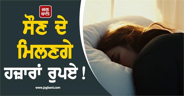 the 5 strangest jobs in the world