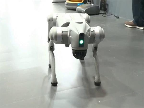 chinese robot dog ai summit galgotias university