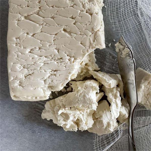 sweet makers are forcibly selling fake cheese in kapurthala city