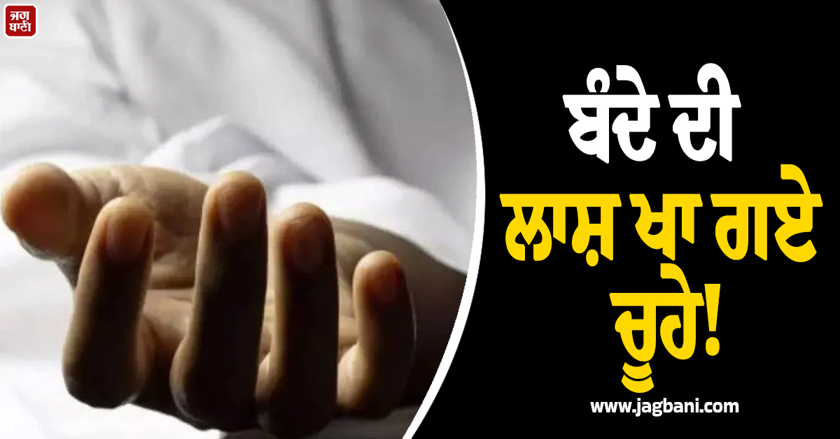 ਬੰਦੇ ਦੀ ਲਾਸ਼ ਖਾ ਗਏ ਚੂਹੇ! ਬਠਿੰਡਾ ਤੋਂ ਹੈਰਾਨ ਕਰਦੀ ਘਟਨਾ ਆਈ ਸਾਹਮਣੇ