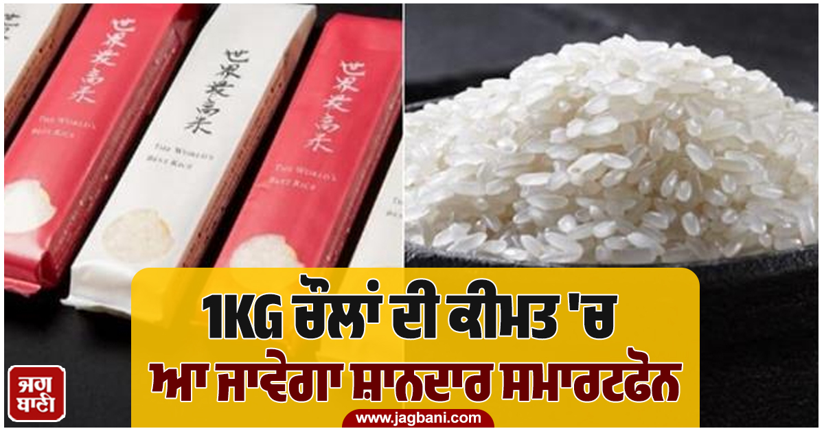 1KG ਚੌਲਾਂ ਦੀ ਕੀਮਤ 'ਚ ਆ ਜਾਵੇਗਾ ਸ਼ਾਨਦਾਰ ਸਮਾਰਟਫੋਨ! ਜਾਣੋ ਦੁਨੀਆ ਦੇ ਸਭ ਤੋਂ ਮਹਿੰਗੇ ਚੌਲਾਂ ਦੀ ਕੀ ਖਾਸੀਅਤ