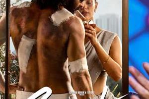 prakash raj clears the air on prabhas  s   spirit  