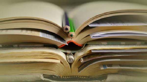 over 56 pc parents  teachers want internet safety school curriculum