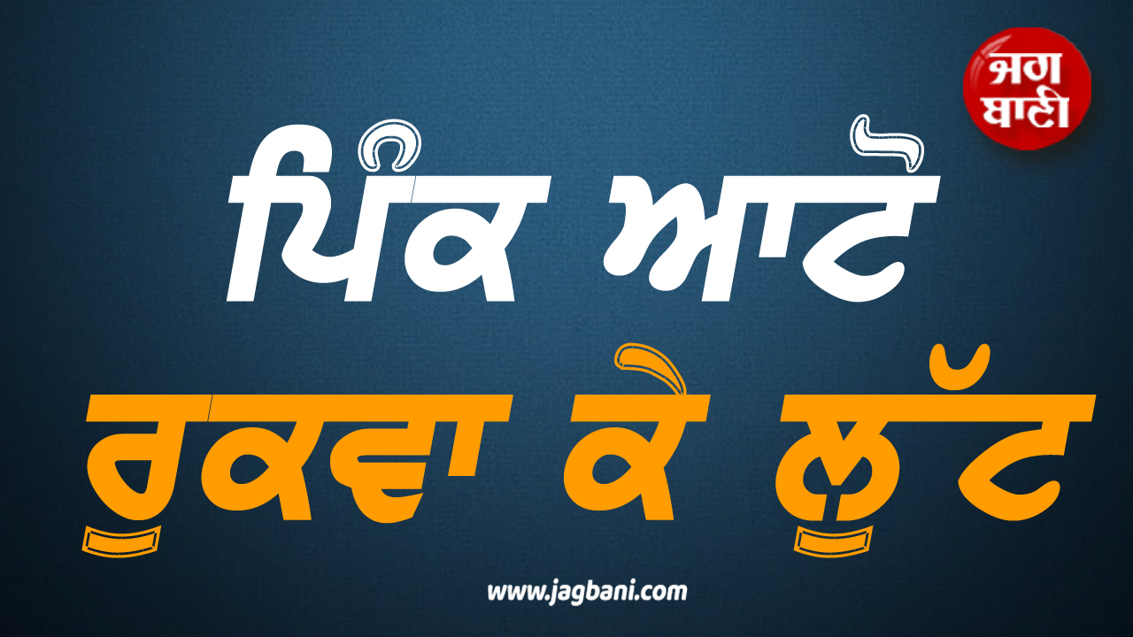 ਪਿੰਕ ਆਟੋ ਰੁਕਵਾ ਕੇ ਪਿਸਤੌਲ ਅਤੇ ਚਾਕੂ ਦੀ ਨੋਕ ''ਤੇ ਚਾਲਕ ਤੋਂ ਹਜ਼ਾਰਾਂ ਦੀ ਨਕਦੀ ਲੁੱਟੀ