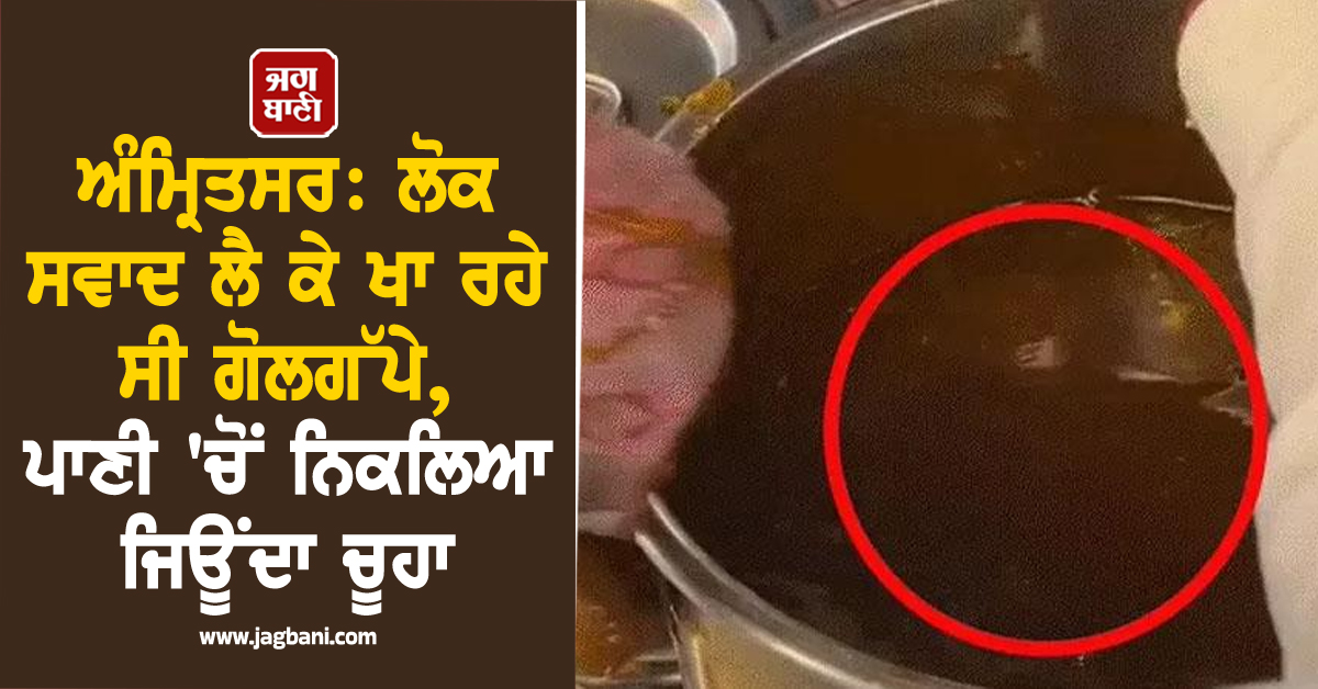 ਅੰਮ੍ਰਿਤਸਰ: ਲੋਕ ਸਵਾਦ ਲੈ ਕੇ ਖਾ ਰਹੇ ਸੀ ਗੋਲਗੱਪੇ, ਪਾਣੀ 'ਚੋਂ ਨਿਕਲਿਆ ਜਿਊਂਦਾ ਚੂਹਾ
