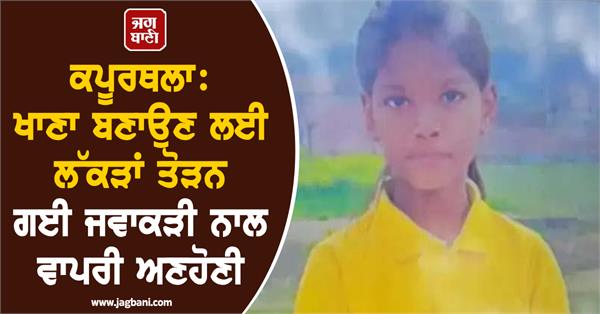 girl dies after wooden branch falls on her in kapurthala